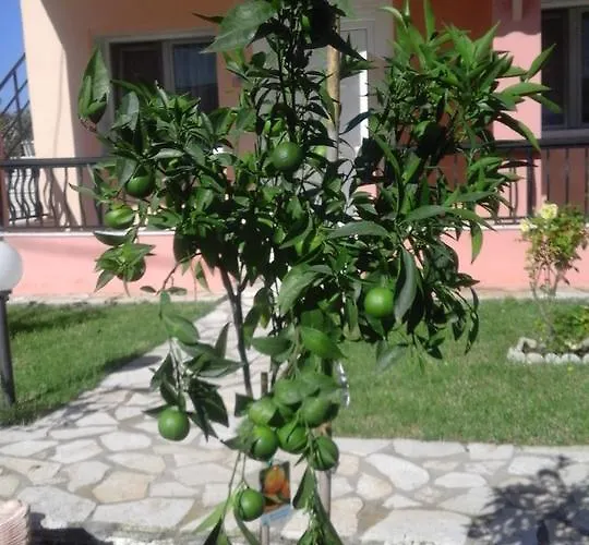 Apartment Elena Agios Georgios (Corfu)