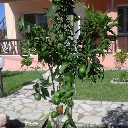 Apartmán Elena Agios Georgios (Corfu)